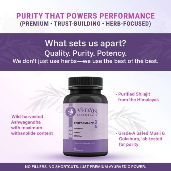 PERFORMANCE MAX - Image 2