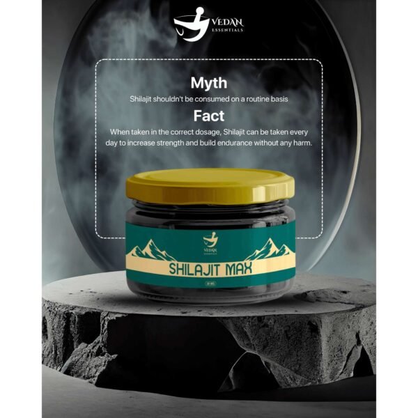 SHILAJIT MAX - Image 2